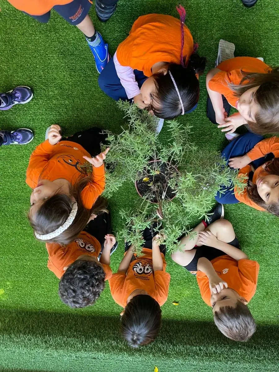 Turma da Educação Infantil sentada em roda no gramado, em volta de um vaso de temperos, vista de cima